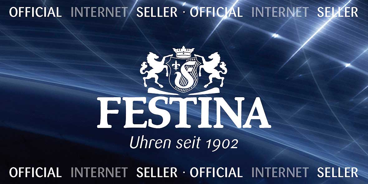 Festina Classics F16376/4 Herrenuhr • Edelstahl • 5 ATM Wasserdicht