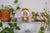 Hermle Tischuhr 19x9x11 cm Holz • Mechanisches Skelettwerk • Modernes Design