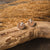 Opacity Ohrringe rund mit Holzelement - Holzkern Modell: Jewelry