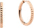 Stainless Steel Earrings - Bering Jewelry Model: 728-30-05