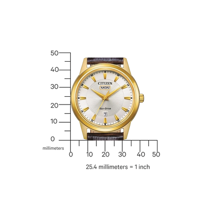 Citizen AW0102-13AE Herrenuhr • Solarbetrieb • Goldfarbenes Gehäuse