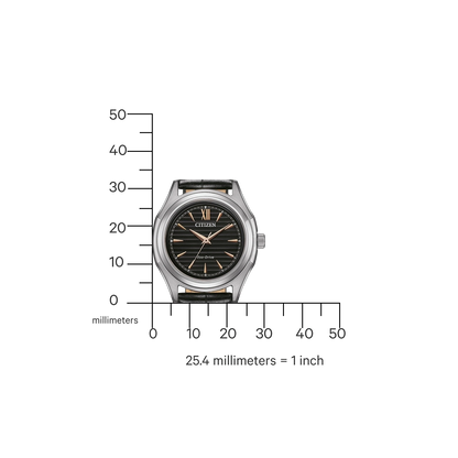 Citizen Eco-Drive FE2110-14E Uhr • Solar • 10 Bar