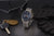 Seiko Discover More SSB407P1 Herrenuhr • Hardlexglas • LumiBrite