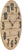 AMS Wall Clock 50x50x3 cm Wood • Precise Quartz Movement • Timeless Design